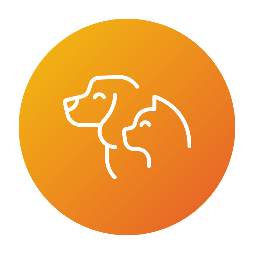 Seguro para mascotas