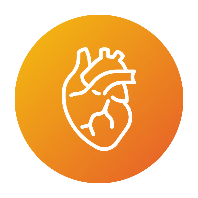 Seguro de salud